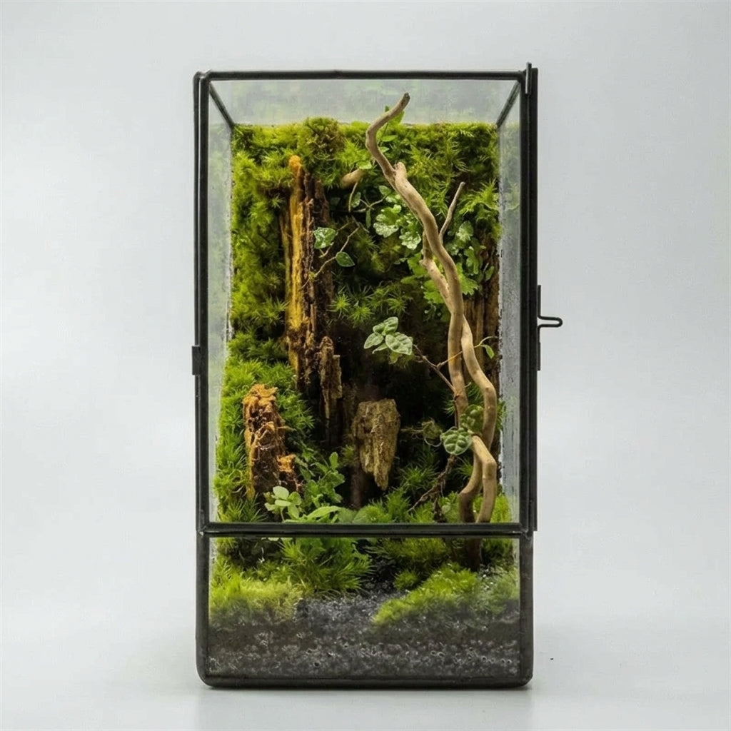 Terrarium carré en verre 11 × 11 × 21,5 cm pour mousse et micro-paysages