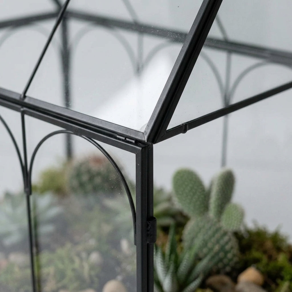 Terrarium maison en verre avec cadre en métal noir