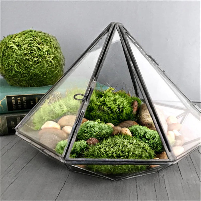 Terrarium diamant en verre noir pour mousse et micro-paysages