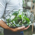 Terrarium géométrique en verre fait main pour plantes