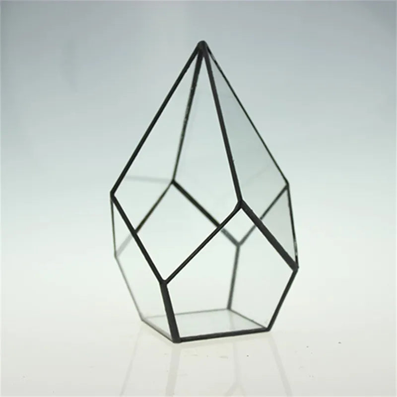 Terrarium diamant en verre pour plantes et succulentes