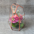 Terrarium quartz en verre pour plantes et micro-paysages