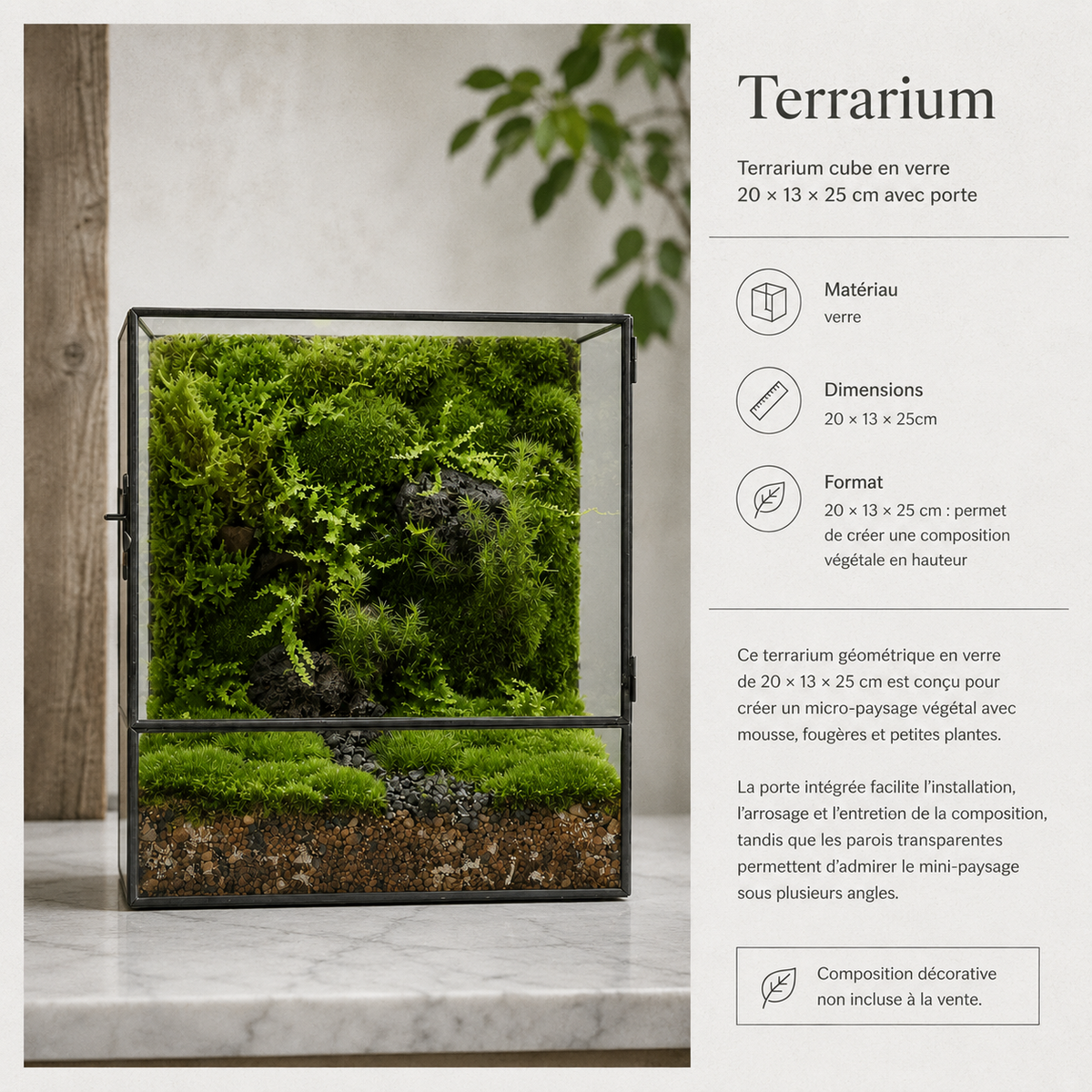 Terrarium cube en verre 20 × 13 × 25 cm avec porte