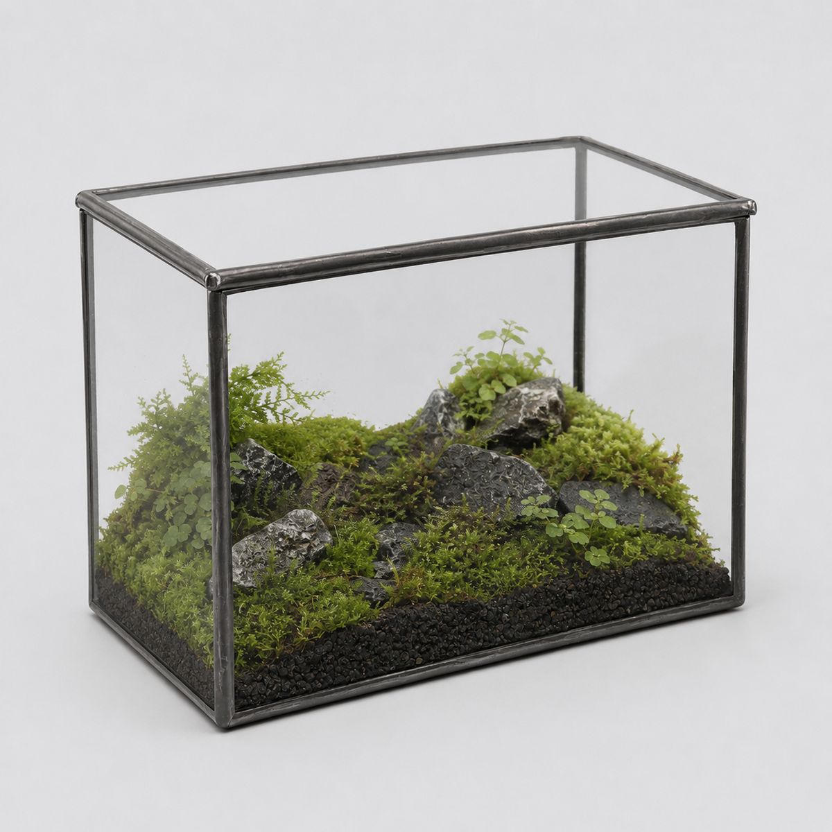 Terrarium cuboïde en verre pour micro-paysages