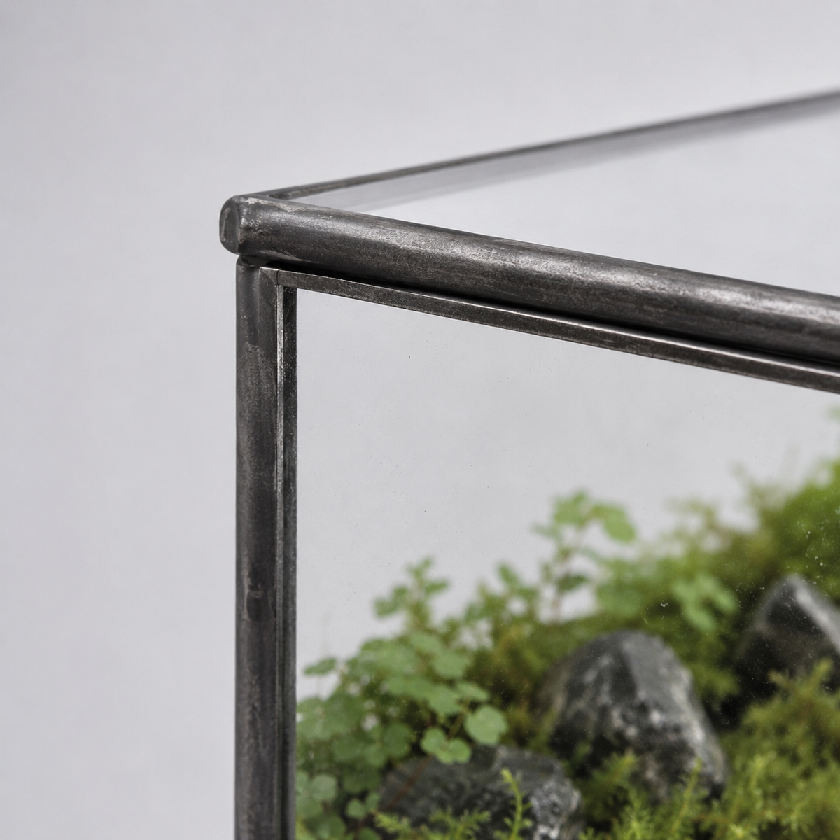 Terrarium cuboïde en verre pour micro-paysages