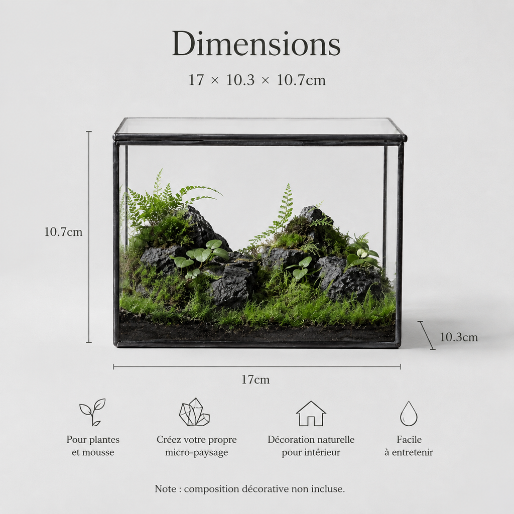 Terrarium cuboïde en verre pour micro-paysages