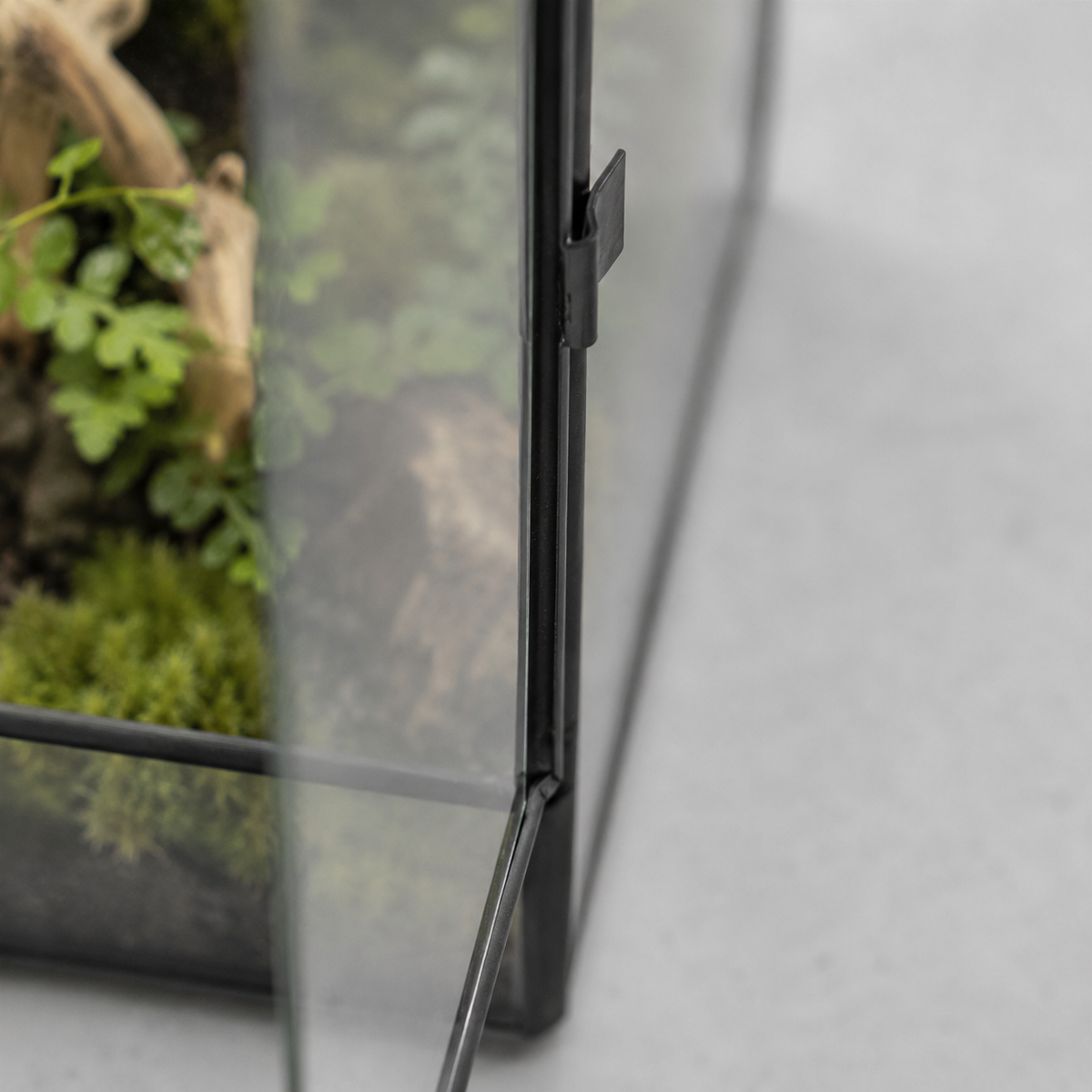 Terrarium carré en verre 11 × 11 × 21,5 cm pour mousse et micro-paysages