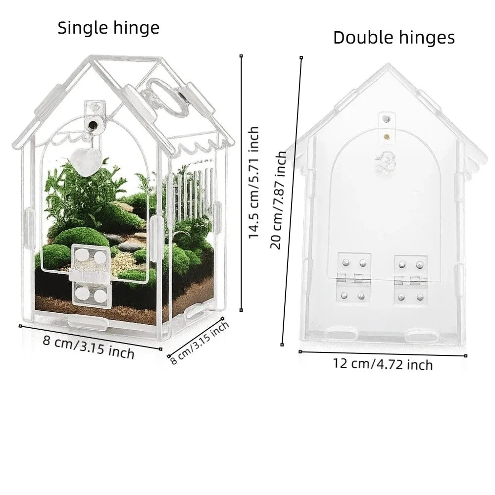 Terrarium en acrylique pour araignées sauteuses avec porte magnétique