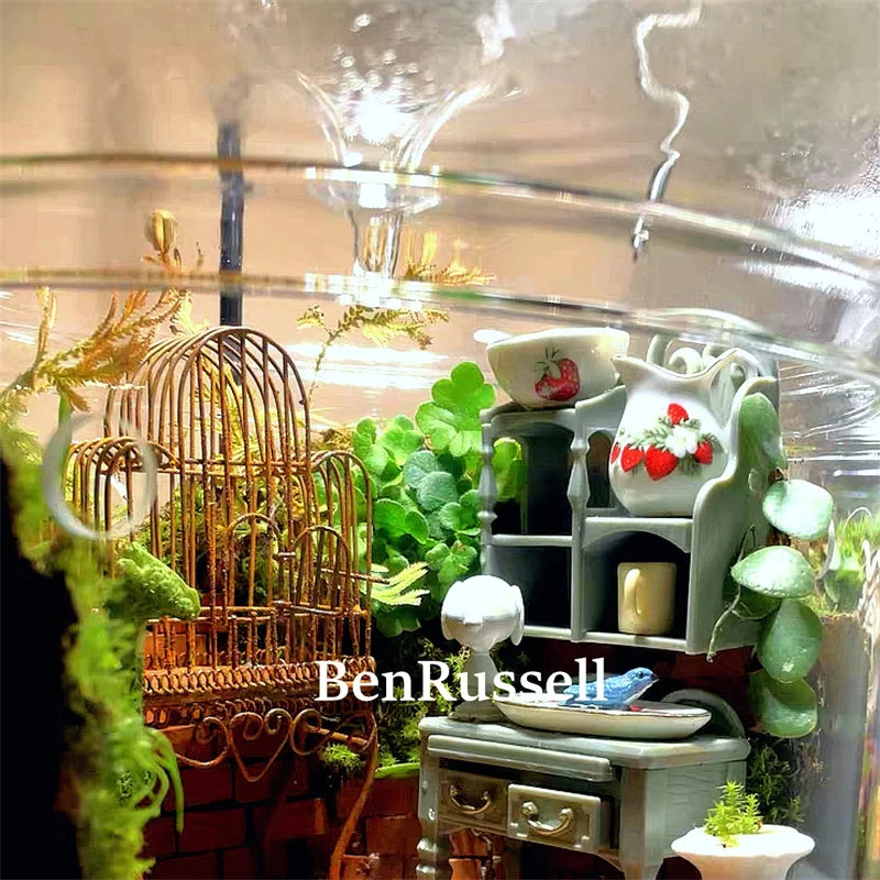 Terrarium bouteille en verre avec couvercle pour mousse et micro-paysages