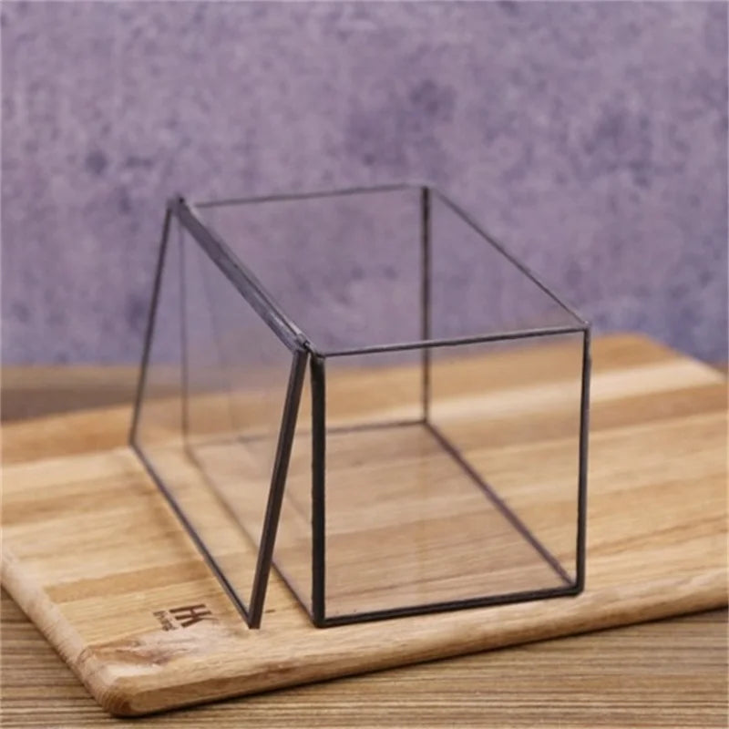 Terrarium cuboïde en verre pour micro-paysages