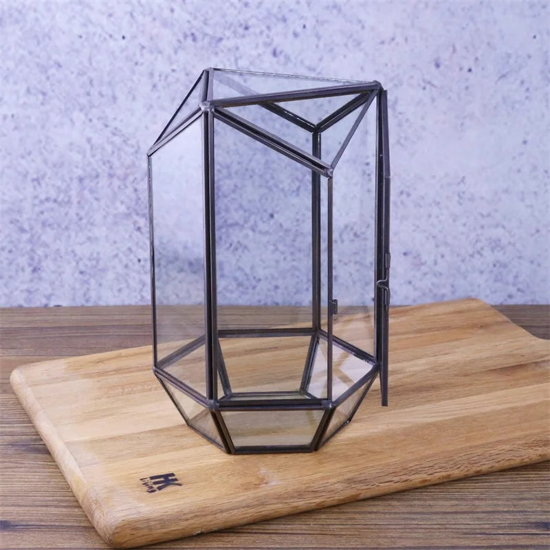 Terrarium hexagonal en verre pour mousse et micro-paysages