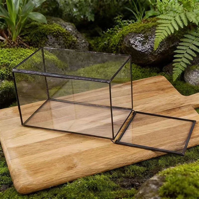 Terrarium géométrique en verre avec porte pour plantes