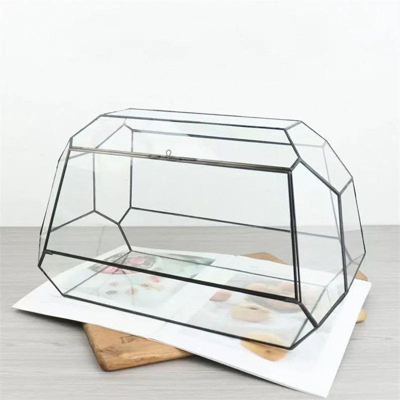 Terrarium géométrique en verre 26,5 × 13,7 × 15 cm