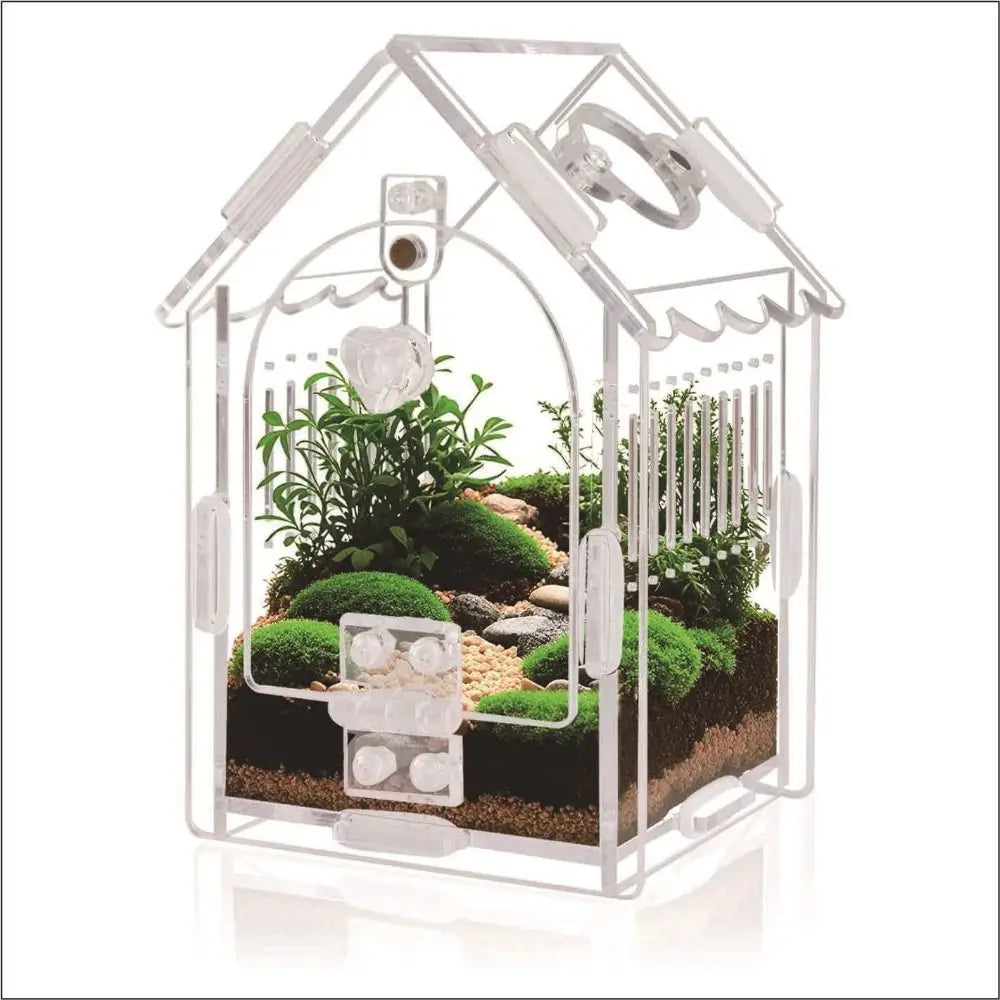 Terrarium en acrylique pour araignées sauteuses avec porte magnétique
