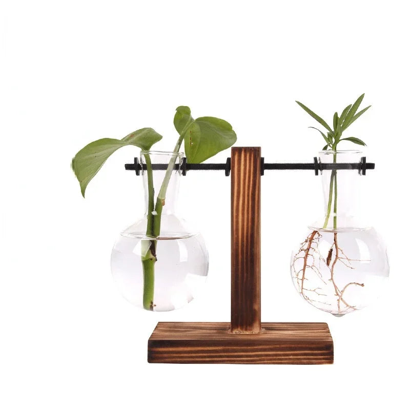 Vase terrarium hydroponique en verre avec support bois