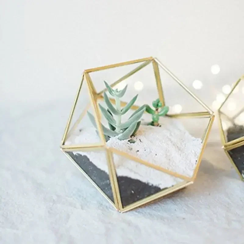 Terrarium géométrique en verre noir pour plantes et décoration