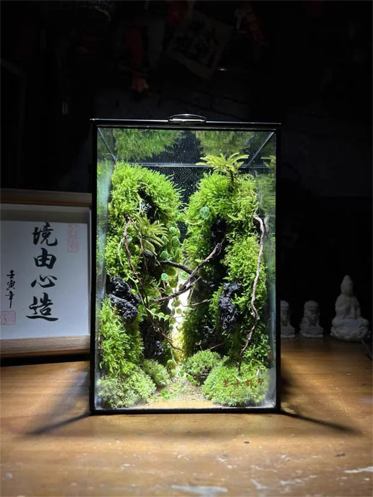 Terrarium géométrique en verre avec porte pour plantes
