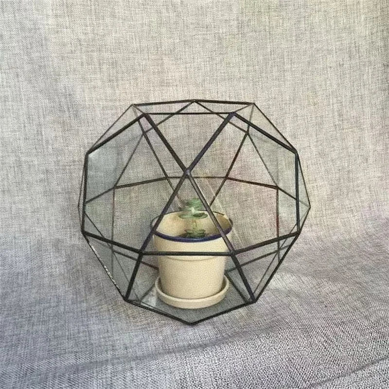 Terrarium dôme géodésique en verre pour plantes
