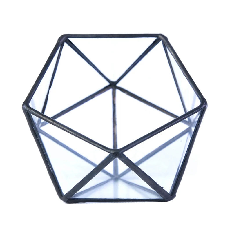 Terrarium géométrique en verre noir pour plantes et décoration