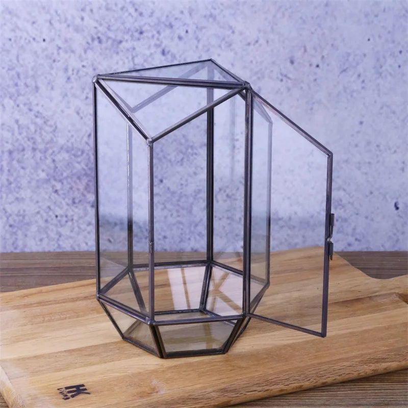 Terrarium hexagonal en verre pour mousse et micro-paysages
