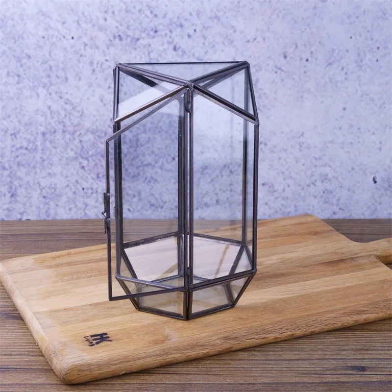 Terrarium hexagonal en verre pour mousse et micro-paysages