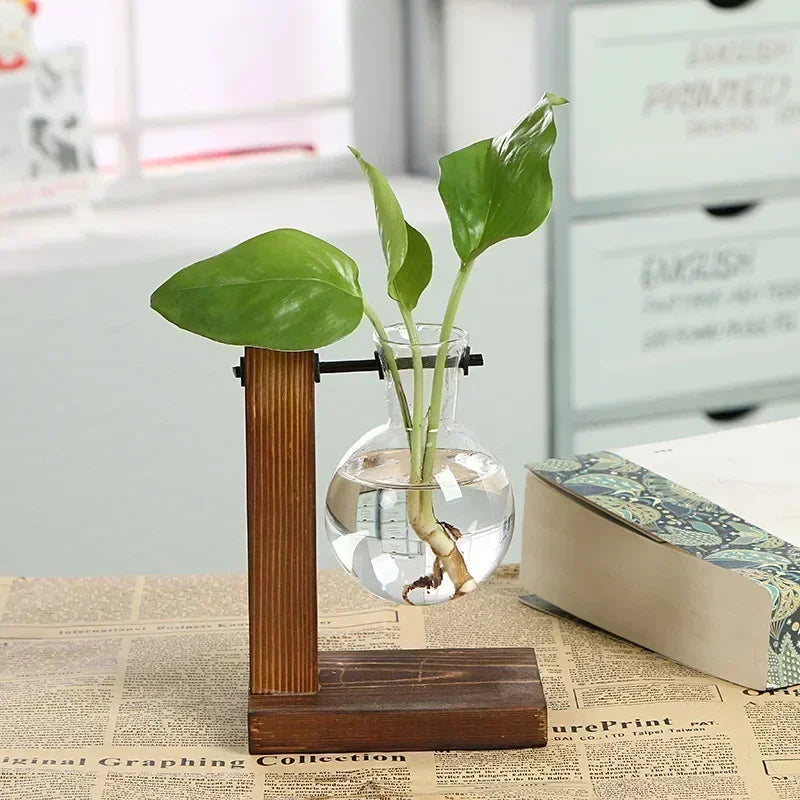 Vase terrarium hydroponique en verre avec support bois