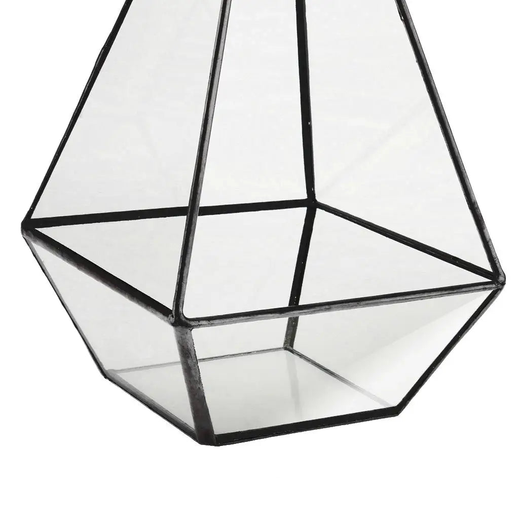 Terrarium pyramide en verre avec cadre métal noir