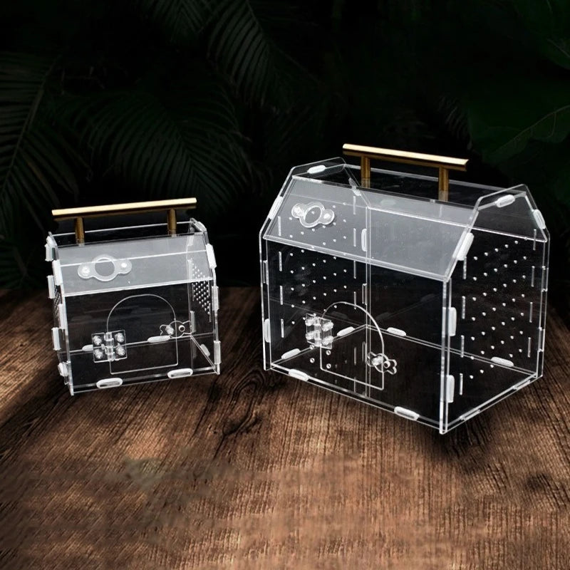 Terrarium portable en acrylique pour petits reptiles et insectes