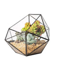 Terrarium géométrique en verre noir pour plantes et décoration