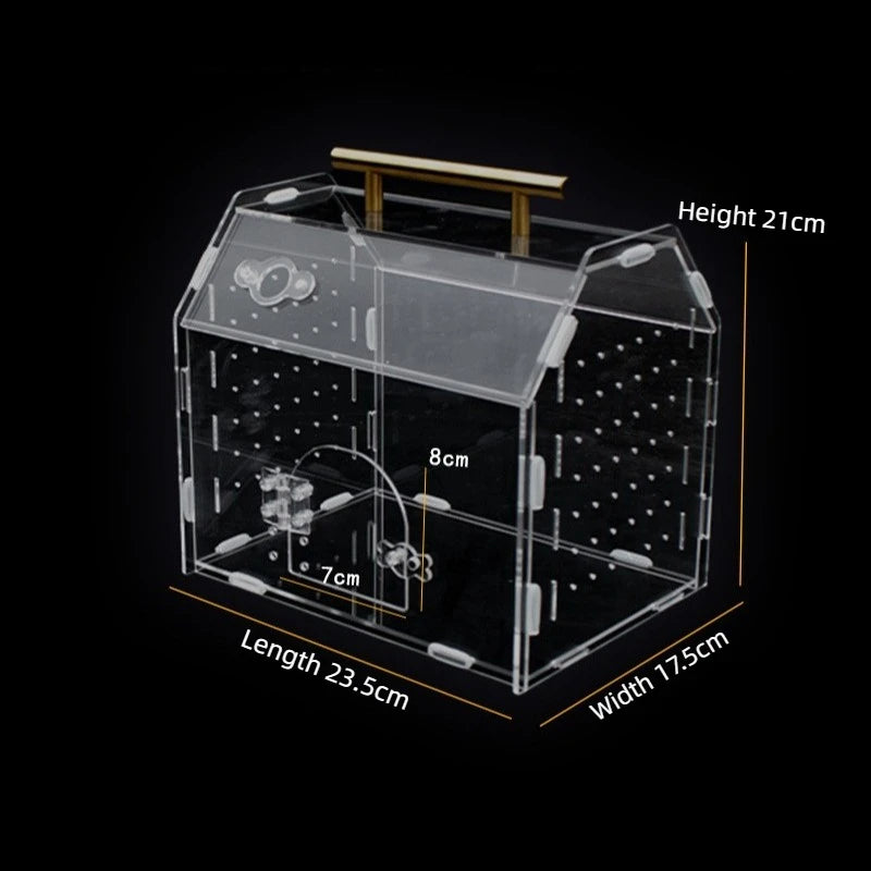Terrarium portable en acrylique pour petits reptiles et insectes