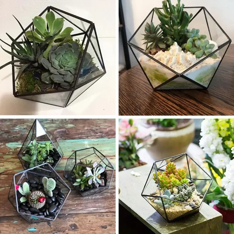 Terrarium géométrique en verre noir pour plantes et décoration