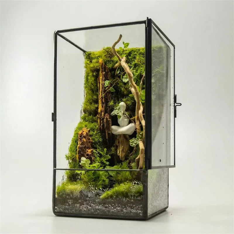 Terrarium carré en verre 11 × 11 × 21,5 cm pour mousse et micro-paysages