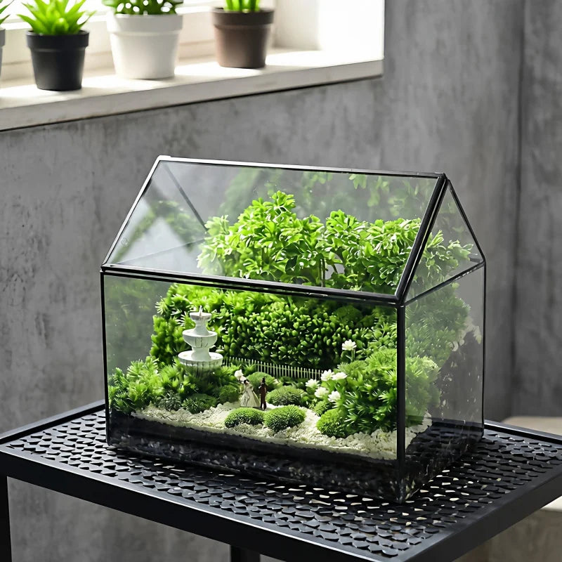 Terrarium rectangulaire en verre avec fenêtre pour plantes