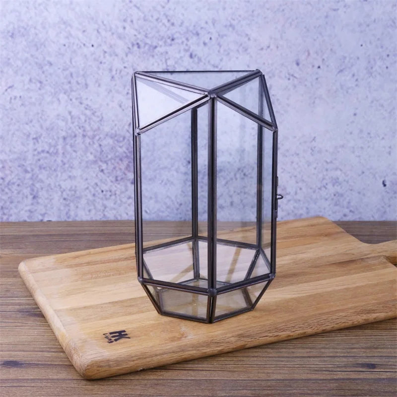 Terrarium hexagonal en verre pour mousse et micro-paysages