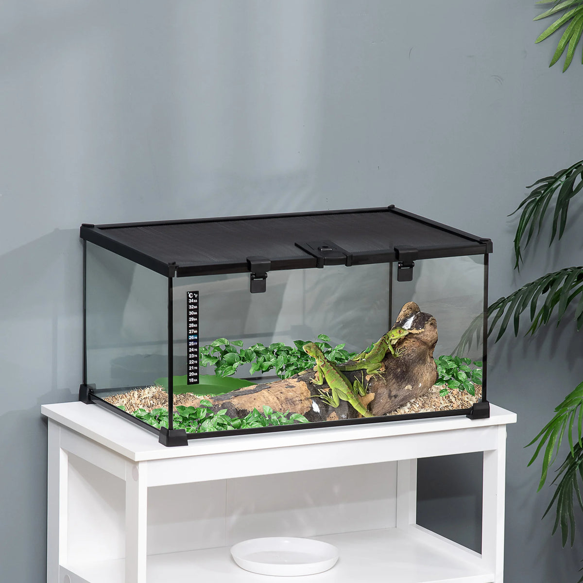 Terrarium en verre 50 × 30 × 25 cm avec couvercle grillagé et porte d’alimentation