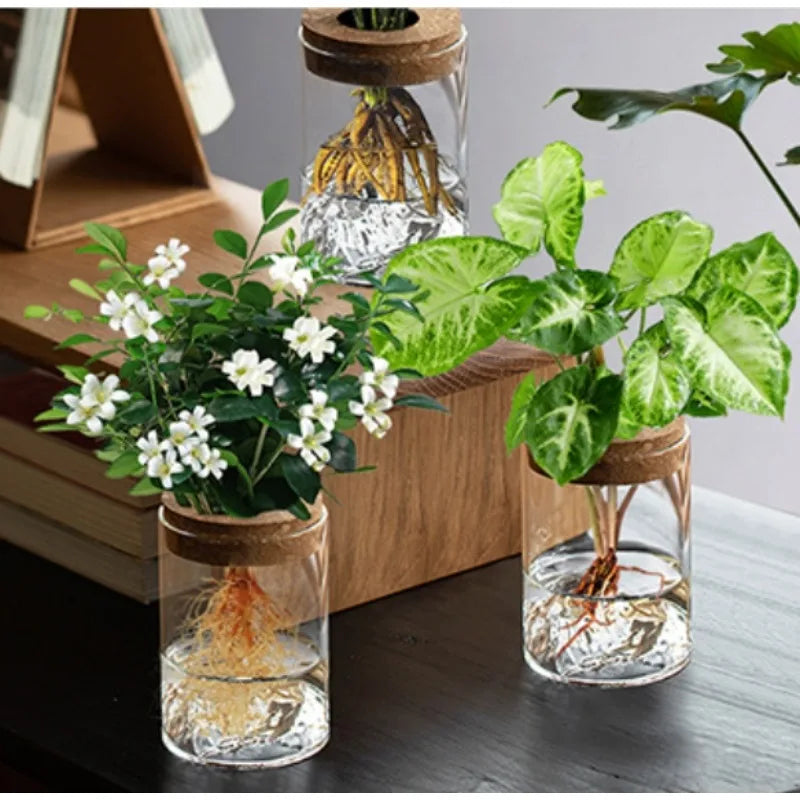 Vase bouteille en verre hydroponique pour plantes d’intérieur