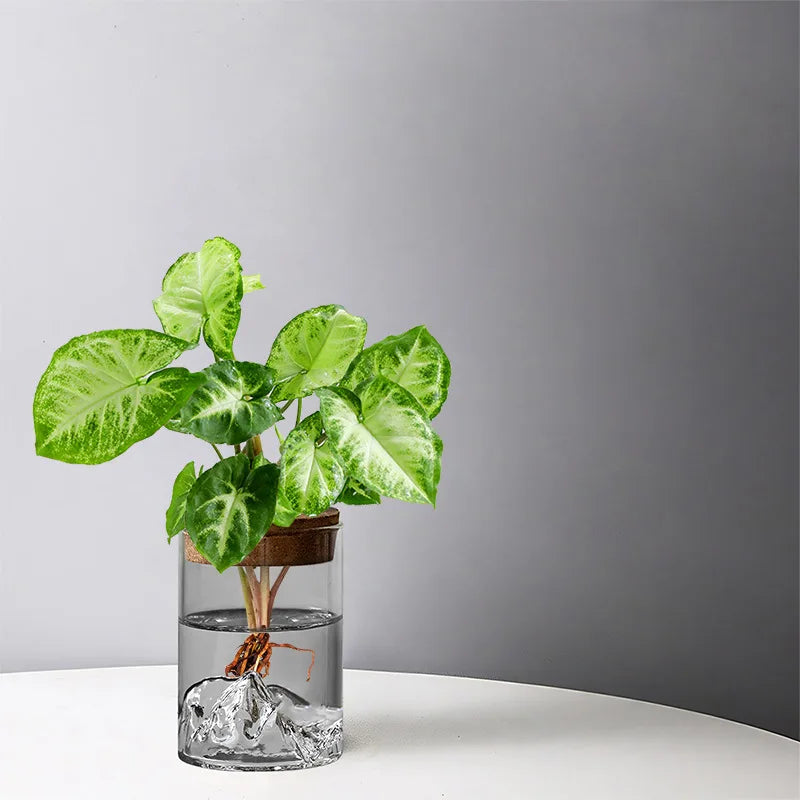Vase bouteille en verre hydroponique pour plantes d’intérieur
