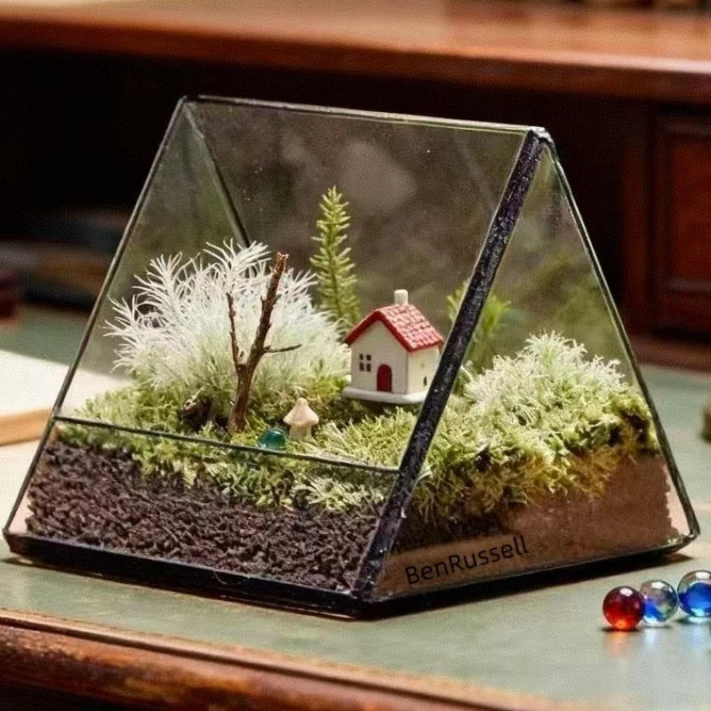 Terrarium triangulaire en verre pour plantes et micro-paysages