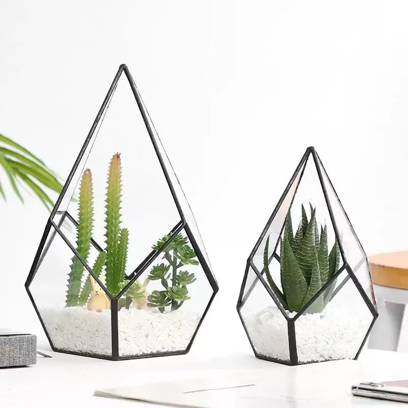 Terrarium diamant en verre pour plantes et succulentes