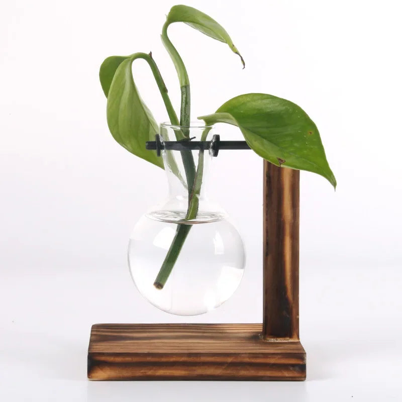 Vase terrarium hydroponique en verre avec support bois