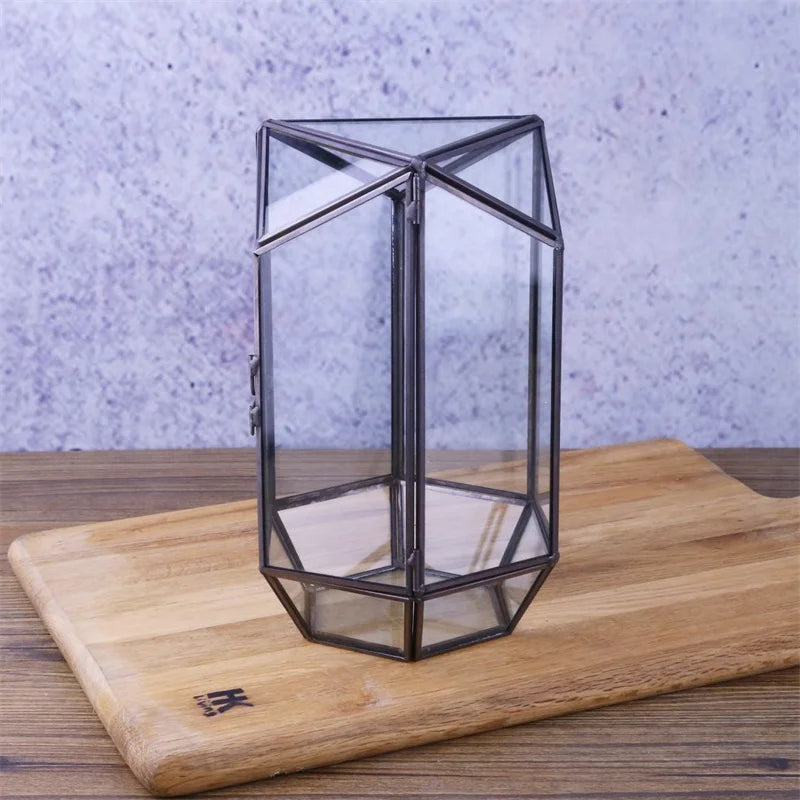 Terrarium hexagonal en verre pour mousse et micro-paysages