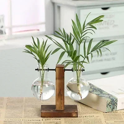 Vase terrarium hydroponique en verre avec support bois